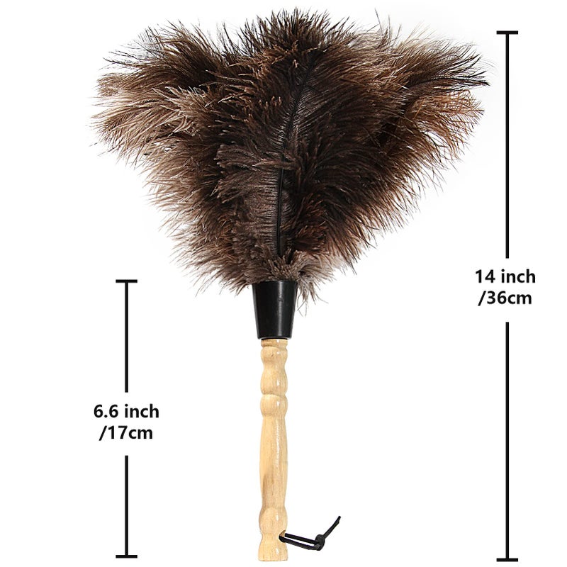 iHUFeather Ostrich Feather Duster 14 inch Feather Duster Fluffy Natural Genuine Ostrich Feathers with Wooden Handle and Eco-Friendly Reusable Handheld Ostrich Feather Duster for Cleaning Supplies - Image 2